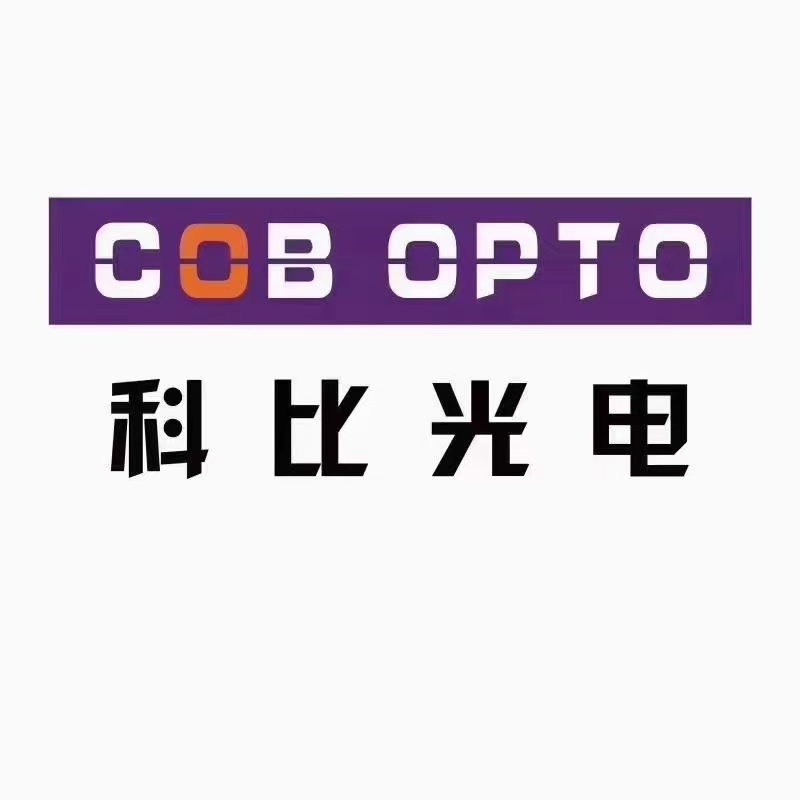 江苏科比光电有限公司