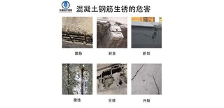 图片0