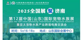 图片0