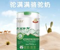 骆驼奶怎么选，新疆天牛驼满满