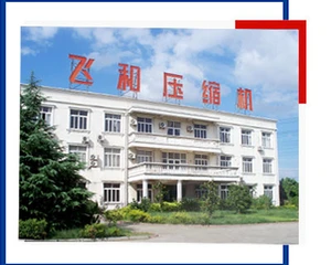 上海飞和压缩机制造有限公司