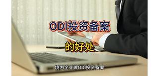 图片0