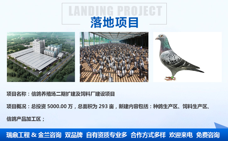 丹江口代寫節能評估報告的本地代寫公司