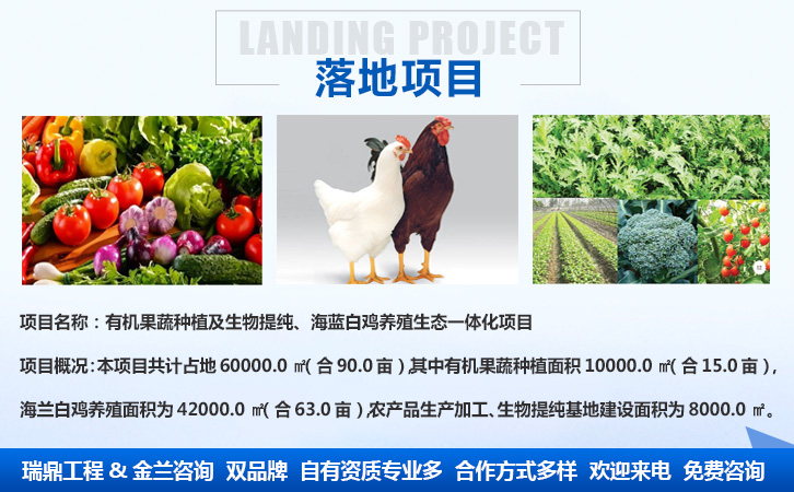 丹江口代寫節能評估報告的本地代寫公司