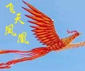 郑州大型活动飞天凤凰出租/飞天凤凰表演租赁飞天凤凰出售厂家