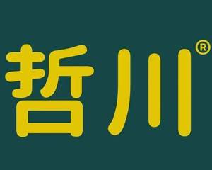 绍兴市哲川信息技术服务有限公司