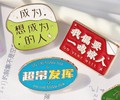 纯银胸花定制金镶钻胸花胸针制作徽章生产厂家