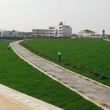 Jining Ruihe Seed Industry Co., Ltd. product image 8