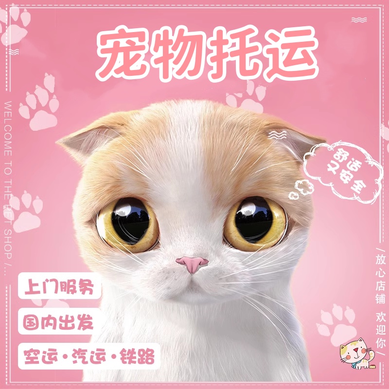 雙遼托運(yùn)在線-汽車帶托運(yùn)所需證件全