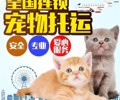 吴江单托运-托运流程所需证件全