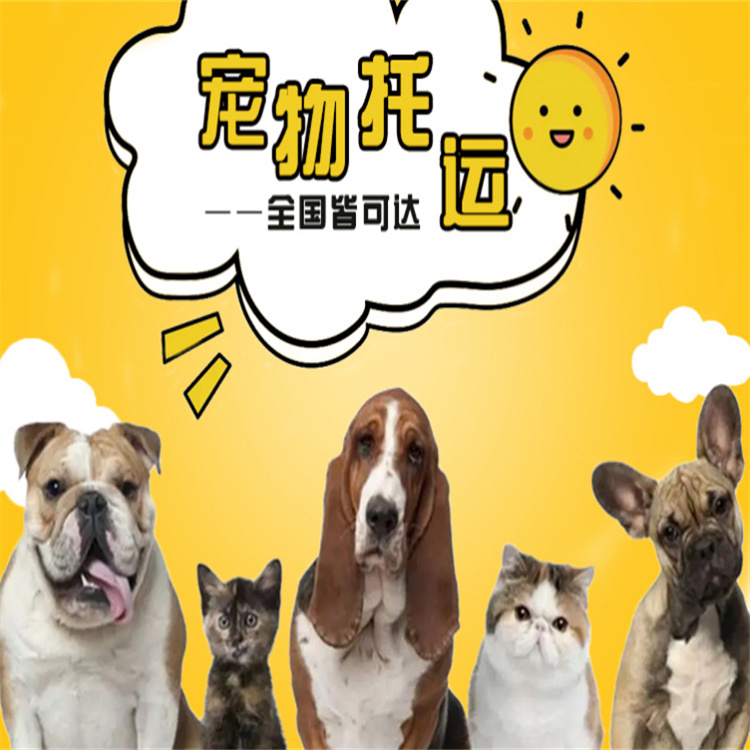 順昌托運-活體運輸可上門接送