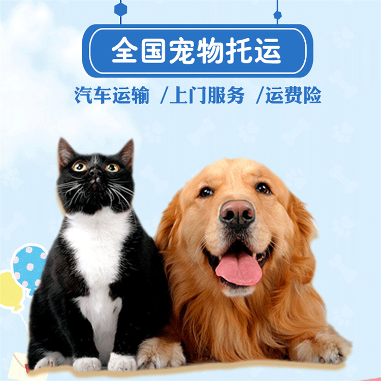 沂水托運(yùn)-貓狗長(zhǎng)途搬家下單送