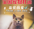 太仓猫咪托运-飞机托运所需证件全