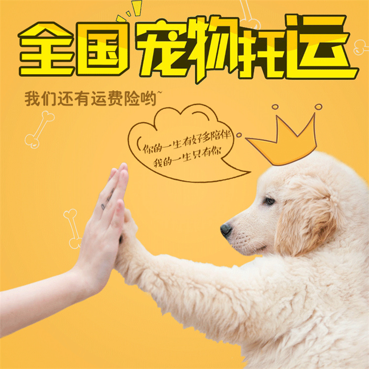 防城港托運(yùn)-飛機(jī)托運(yùn)貼心服務(wù)