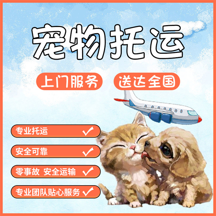 黃平專車(chē)托運(yùn)-靠譜貓咪狗狗搬家運(yùn)輸車(chē)到即走