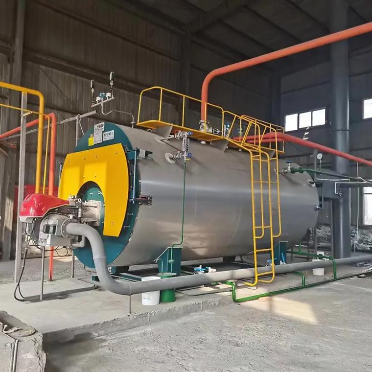 燃?xì)忮仩t15噸20噸黑龍江雞西