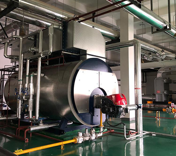 蒸汽發(fā)生器2噸4噸廣東湛江