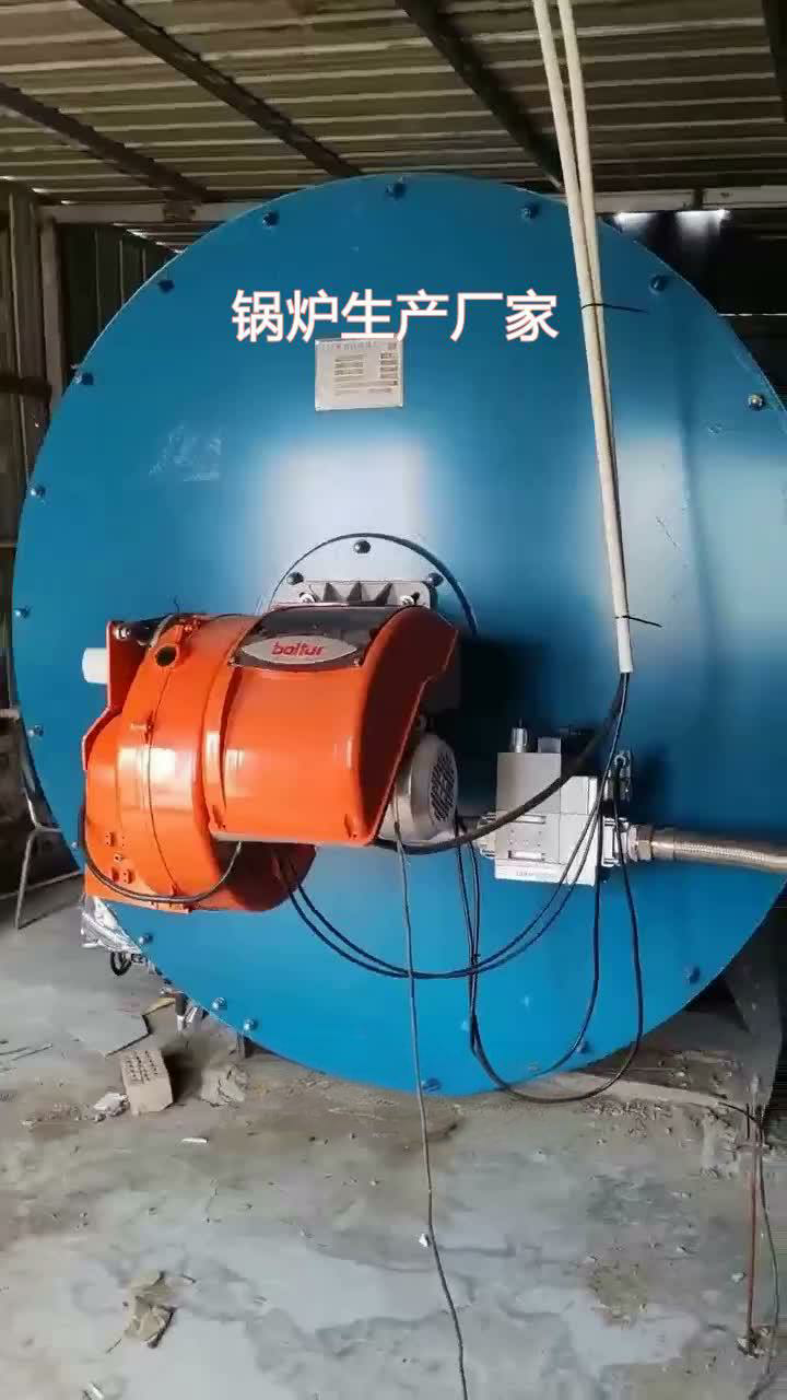 生物質鍋爐15噸20噸安徽池州
