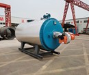 燃气锅炉15吨20吨福建福州图片