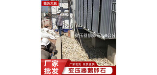 泰州鹅卵石纯手工挑选变压器鹅卵石厂家厂家批发供应图片4