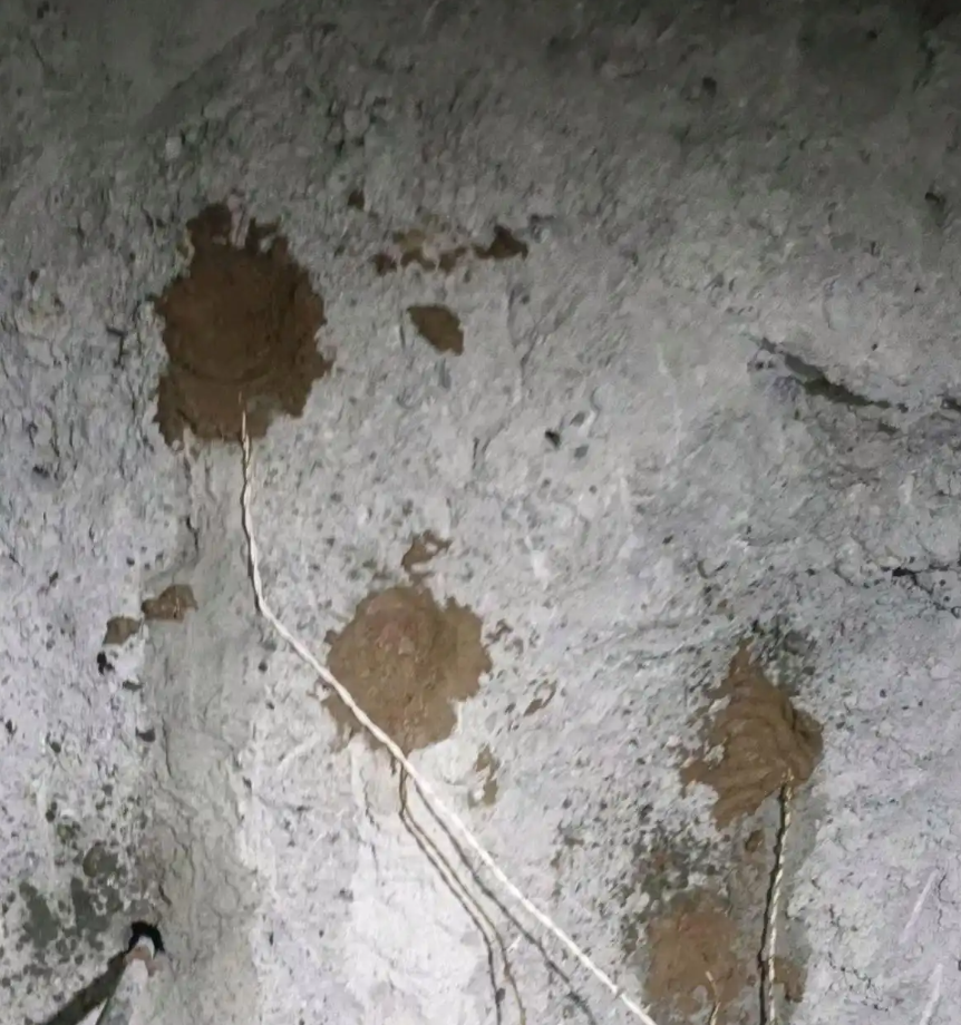 營口二氧化碳靜態(tài)爆破多少錢