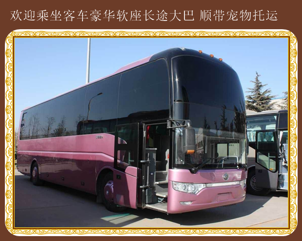 膠南到廣平直達客車班車在線