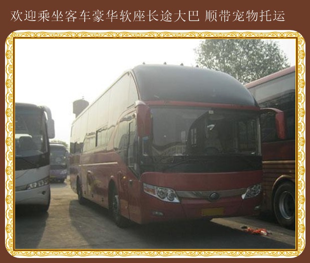 高密到館陶客運汽車貨物托運