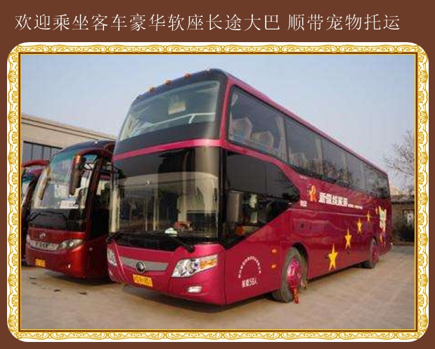 即墨到溫州長途直達汽車歡迎致電