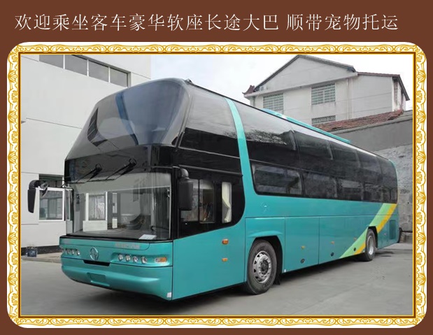 黃島到鄄城臥鋪大巴每天幾班車