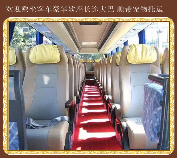 高密到商丘直達(dá)大巴車資訊時(shí)刻表