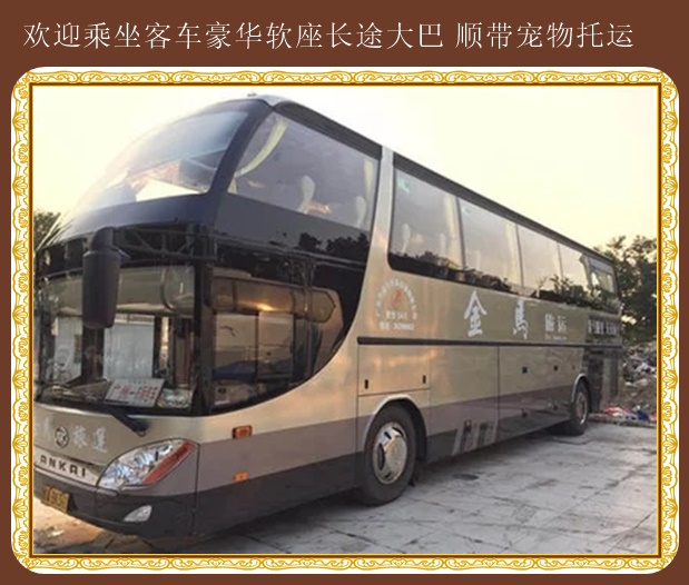 膠南到紹興專線客車發(fā)車時間表