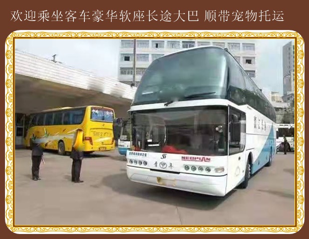 青島到漢中直達(dá)大巴車小件急運(yùn)