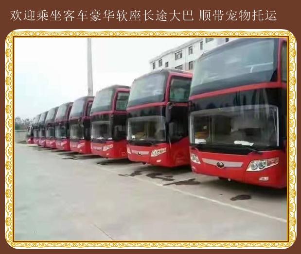 膠州到嘉祥客運(yùn)汽車票價比較優(yōu)惠