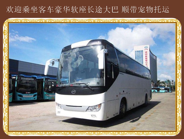 青島到諸暨客車汽車發(fā)車時(shí)間
