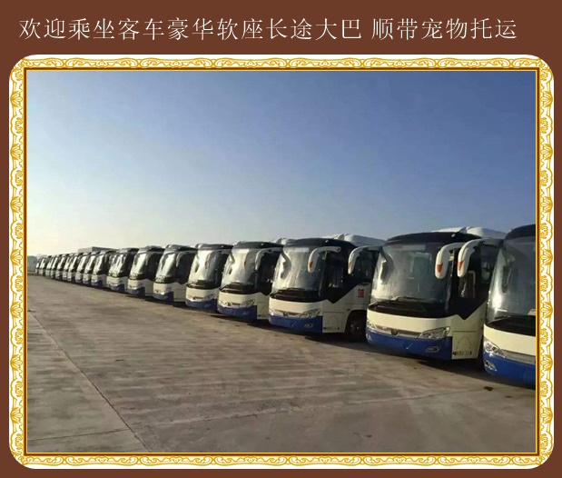 膠南到椒江長(zhǎng)途大巴車上車價(jià)格