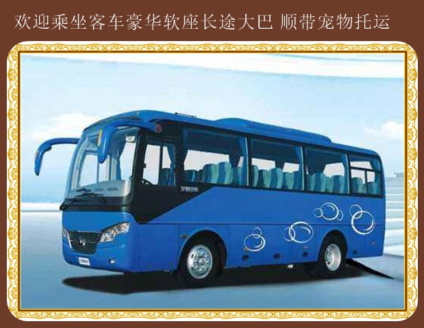 青島到余姚大巴汽車聯系電話