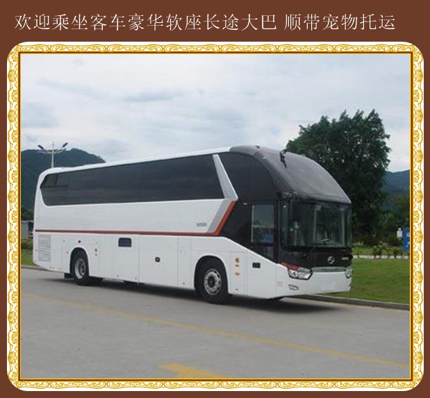 青島到漢中直達(dá)大巴車小件急運(yùn)