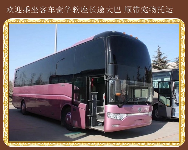 高密到永城長途直達汽車快捷方便