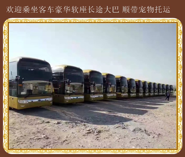 青島到菏澤直達大巴車歡迎致電