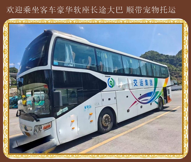 黃島到鄄城臥鋪大巴每天幾班車