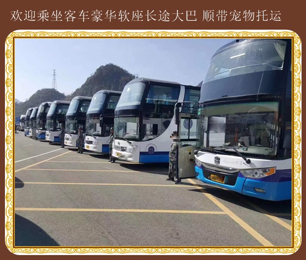 平度到鄒城大巴車歡迎致電