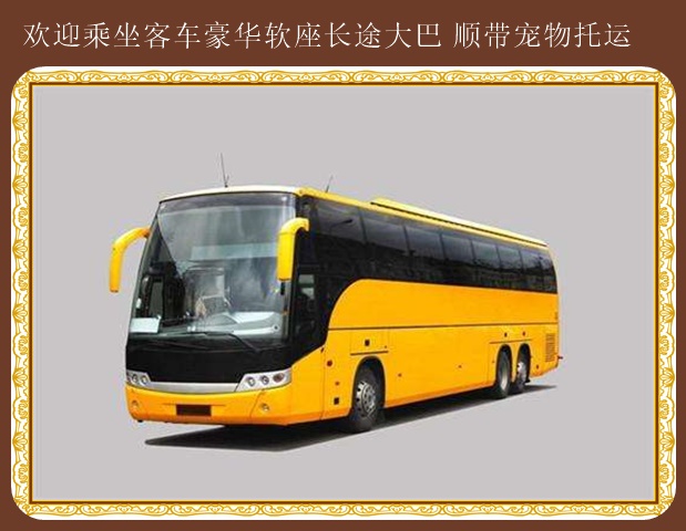 即墨到南陽豪華汽車歡迎下單