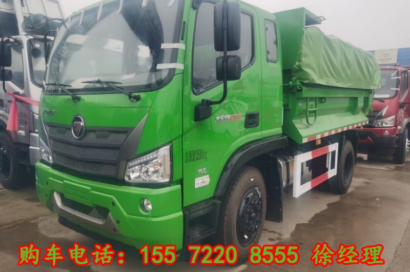出口坦桑尼亞后八輪渣土車參數圖片