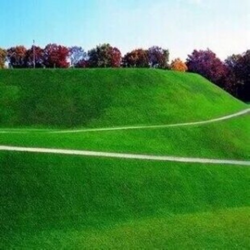 矮生草坪狗牙根草籽銷售價低我們發(fā)芽率