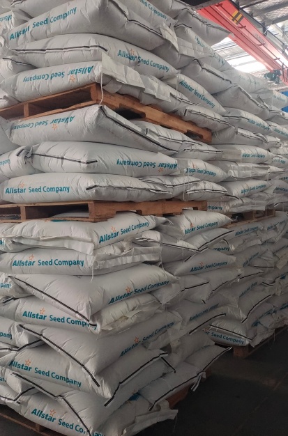 關(guān)于麥冬草苗子大量批發(fā)隨時聯(lián)系我