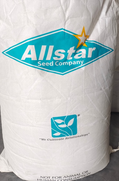 矮生草坪狗牙根草籽大量批發(fā)我們發(fā)芽率