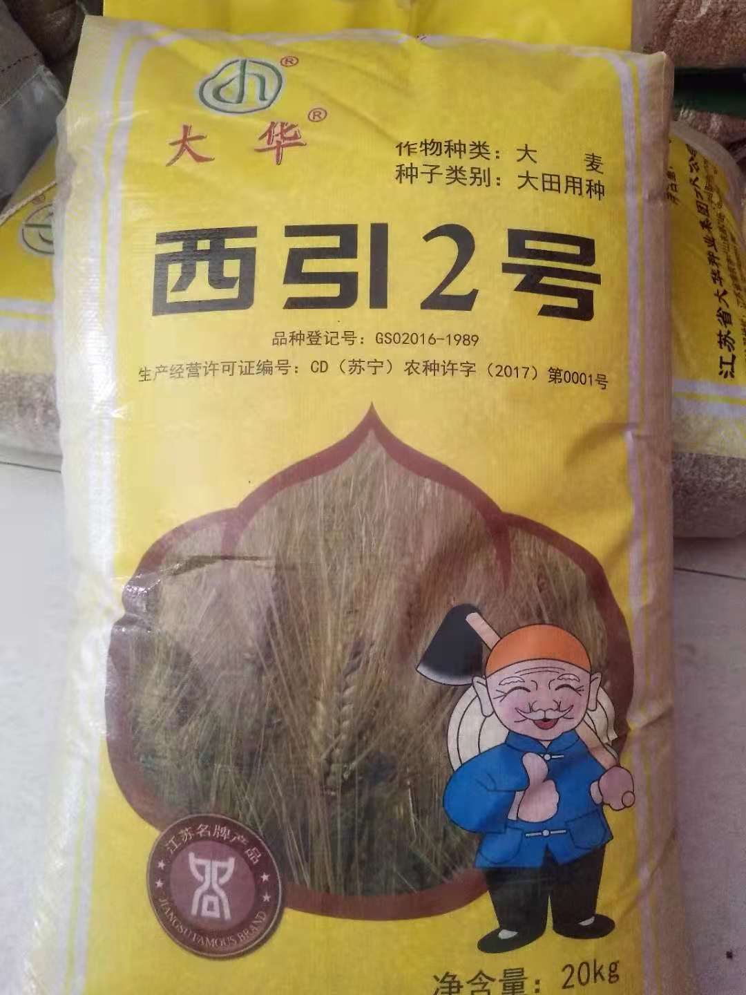 產(chǎn)量高的大田用種大麥種子畝產(chǎn)量高我處批發(fā)