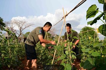 河北石家莊無極勞務(wù)輸出一年能掙多少錢