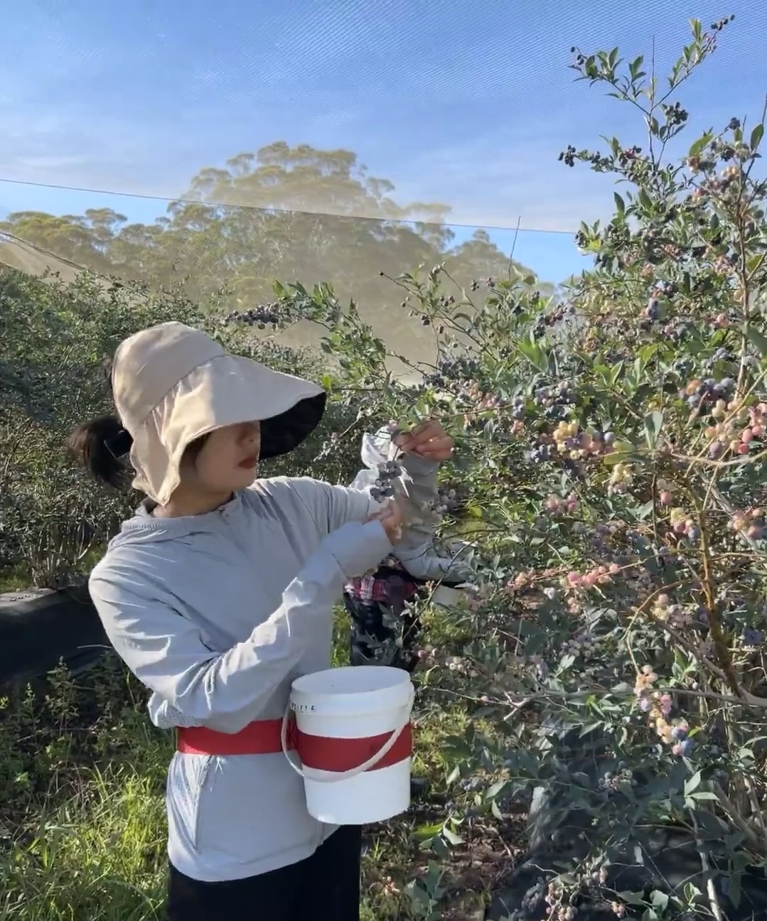 江西萍鄉(xiāng)湘東區(qū)海外打工一年能掙多少錢