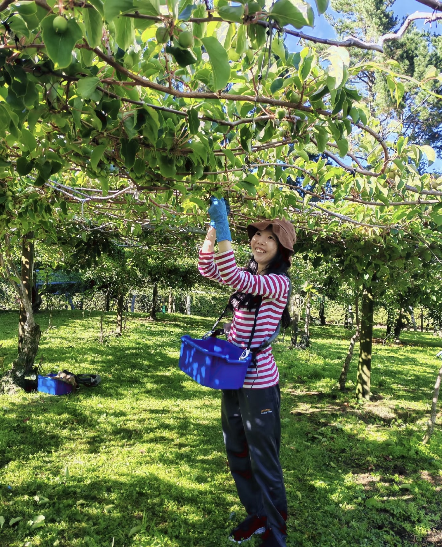江蘇南通如皋勞務(wù)輸出正規(guī)工簽